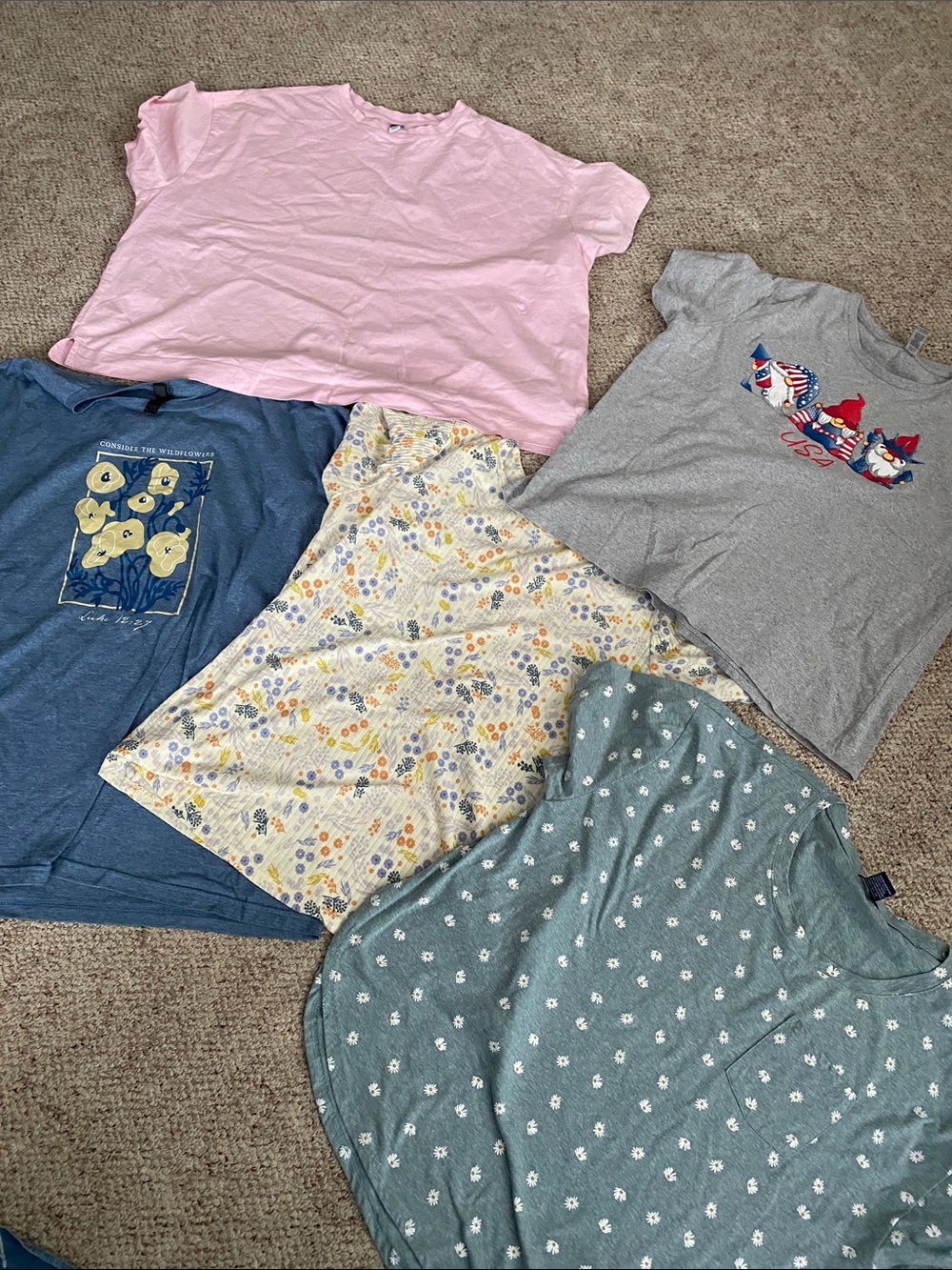 (5) PC 2X T Shirt Bundle Gildan, Old Navy & Luluroe!